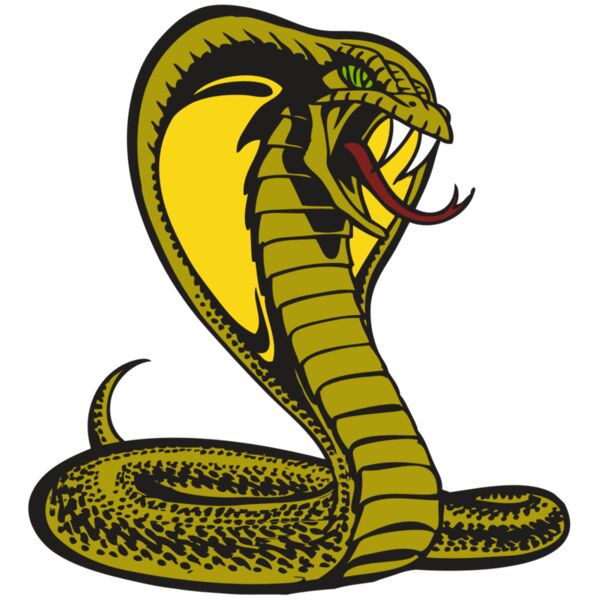 BAW SNAKE 02 RC Thumbnail