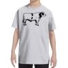 Youth DRI-POWER® ACTIVE T-Shirt Thumbnail