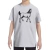 Youth DRI-POWER® ACTIVE T-Shirt Thumbnail