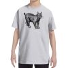 Youth DRI-POWER® ACTIVE T-Shirt Thumbnail